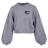 Palestijnse Palestine Vlag Strijk Embleem Patch op een grijze sweater
