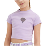 Diamant Glitter Strijk Embleem Patch Paars Lila op een lila t-shirtje