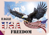 USA Freedom Eagle Strijk Applicatie