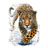 Panter Luipaard Jaguar Strijk XXL Applicatie