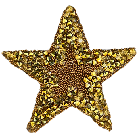 Ster Strass Ster Patch Goud