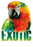 Exotic Papegaai Strijk Applicatie
